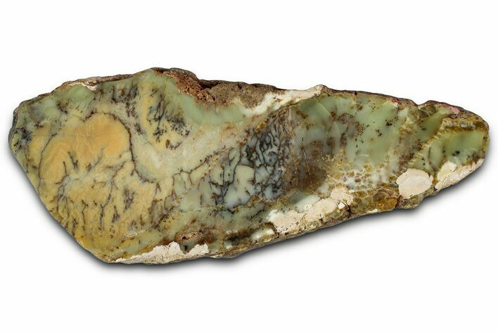 Polished Dendritic Opal Section - Western Australia #353807